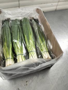 Spring Onion (Green Onion) Origin Egypt Shelf Life Excellent Quality Export Quality Quality Standard European Export Standards - Egypt Fruits & Vegetables Export - Egypt