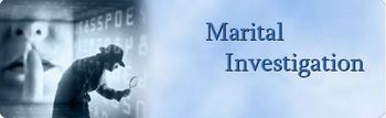 Marital Investigation - Punjab Detective Network - India