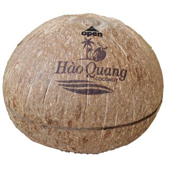 Polish mature coconut - HAO QUANG COCONUT ONE MEMBER COMPANY LIMITED - Vietnam