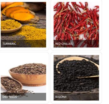 All kind of spices - RAJ GENERAL TRADING - India
