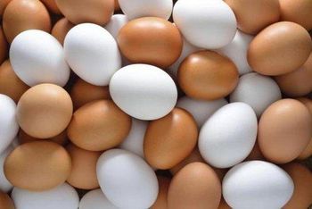 Fresh Table Eggs - Porcosta, LDA - Portugal