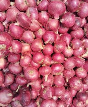 Fresh Onion – product photo, Fresh Shallot Onion products found from trusted suppliers, wholesalers, manufacturers & exporters Listing