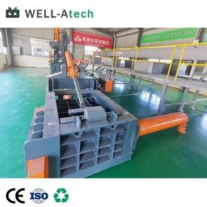 Direct From Manufacturer Industrial Metal Scrap Baler for Copper Stainless Steel Turnings - Anhui Well Advanced Technology Co., Ltd - China