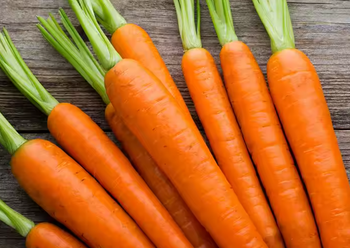 Fresh Carrots Style - PT LARISH ALACA FORTUNATELY - Indonesia