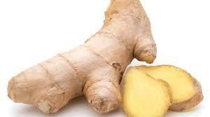 Fresh Ginger – Premium Quality Export Grade Grade A Fiber Content High Texture Firm Texture Flavor Distinct Flavor Moisture Content ≤ 11% - TRADE NEPAL LLC - United States
