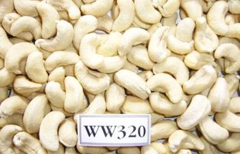 CASHEW NUTS - Tanzania Agroflux and Rocks LTD - Tanzania