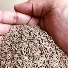 Cumin Seeds – product photo, Spices products found from trusted suppliers, wholesalers, manufacturers & exporters Listing