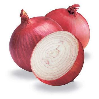 Fresh Red Onion, Affordable High Quality, Wholesale Bulk Orders from A.C.P. AGRICULTURE COMPANY LIMITED Fresh Red Onion, Affordable High Quality, Wholesale Bulk Orders - A.C.P. AGRICULTURE COMPANY LIMITED - Thailand