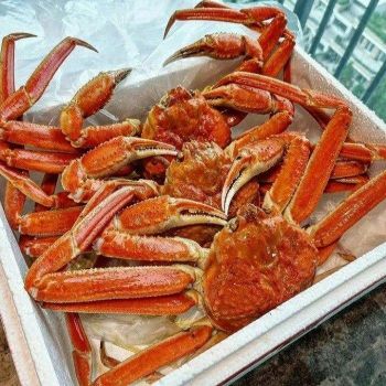 FROZEN WHOLE RED KING CRAB IQF Freezing Process 0.6kg 24 Months Shelf Life from CPW TRADE LTD FROZEN WHOLE RED KING CRAB IQF Freezing Process 0.6kg 24 Months Shelf Life - CPW TRADE LTD - United Kingdom