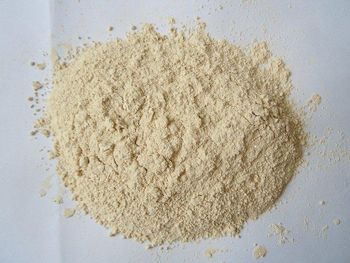 Dehydrated Garlic Powder - AROMIC FOODS AND SPICES LLP - India