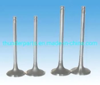 Motorcycle Accessories Motorcycle Engine Valves in & Ex for GS125, Gixxer150, Yes125, Gn125 - Sunshine Thunder Parts Co., Ltd. - China