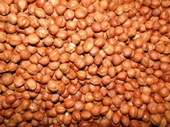 hazelnut kernels - Unicandy LTD - Georgia