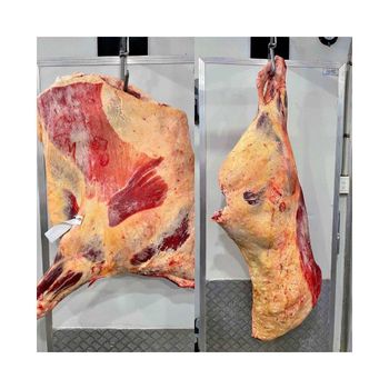 Beef Wholesale Frozen Beef Meat Carcass 4 Way Cuts HALAL FROZEN - BMU TRADING GMBH - Germany