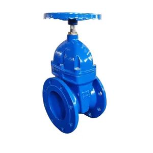 China Wholesale Resilient Gate Valves Oval Body F4 Pn10/Pn16 - Botou Valve Manufacturing Industry Co., Ltd. - China
