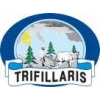 Product - OLIVE GROVES AND OLIVE PRODUCTS TRIFILLARIS LTD - Cyprus