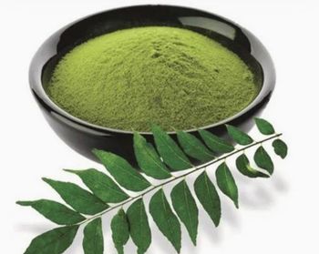 Curry Leaves powder Flavor Aromatic Purity 100% Natural And Pure Texture Finely Ground Powder Intended Use Culinary And Health - VAFoods - Sri Lanka