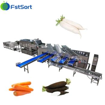 Stainless Steel Sweet Potato/Radish/Carrot/Vegetable Washing Drying Grading Machine Vegetable Processing Machine - Zhengzhou First Industry Co., Ltd. - China