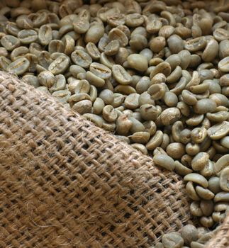 Coffee Beans – product photo, Ethiopian Coffee Beans products found from trusted suppliers, wholesalers, manufacturers & exporters Listing