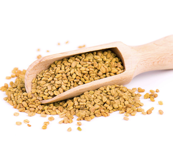 Fenugreek Seeds Purity 99% Packaging 50 Kg Pp Bag Storage Condition Cool, Dry Place (below - Evy Cool Gifts Private Limited - India