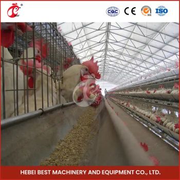 Bestchickencage a Type Layer Cage China Chicken Shop Layer Cage Factory Custom Battery Type Breeding Layer Cage Configuration Chicken Coop Pet Houses Furniture - Hebei Best Machinery and Equipment Co., Ltd. - China