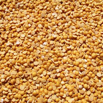 100% Natural Pigeon Peas Bulk Trade Pigeon Peas For Buyers Looking For Healthy Plant Based Protein Sources Worldwide - THE GREEN INTERNATIONAL LIMITED - Tanzania