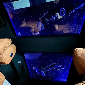 New Design UV Proof Heat Insulating Omtd Photoelectric Luxury Sound Reducing Pet Side Window Astrace - Beijing Treeing Technology Co., Ltd. - China
