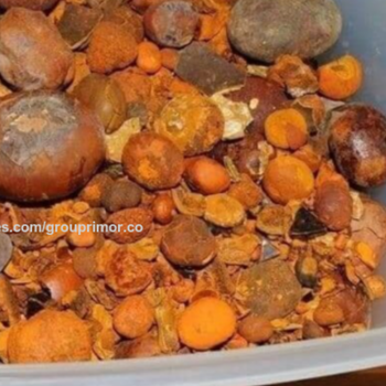 Cow Ox Gallstones available for sale Shelf Life 2 YEARS Place of Origin -  DAEWKAEW PANTAMANG Co., Ltd - Thailand