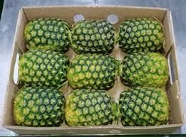 Fresh Pineapples - AFRIVET TRADING SERVICES - South Africa