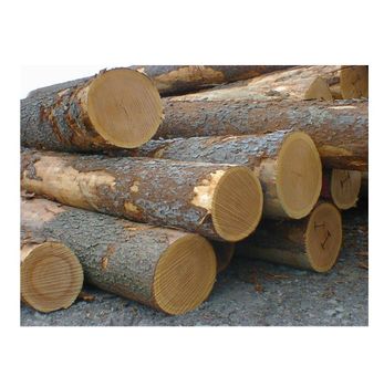 High Quality Oak Timber LOGS | Oak Wood Round Logs At Low Price - Exigentelaxia Unipessoal Lda - Portugal