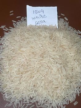 1509 WHITE SELLA BASMATI RICE 100% INDIA ORIGIN - MASCOT EXIM - India