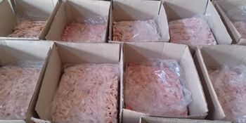 Frozen Chicken Feet & Chicken Paws - Haider Enterprises - Pakistan