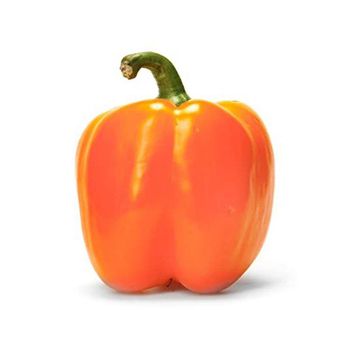 Fresh Bell Pepper Capsicum for sale in good price Type Bell Pepper Color Natural Color Delivery Fast Delivery Grade Export Grade, Top - afrivett@gmail.com - South Africa