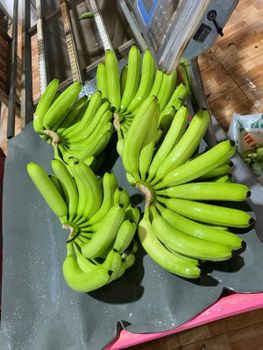 Fresh Green Cavendish Banana from DUC PHUC IMPORT EXPORT COMPANY LIMITED Fresh Green Cavendish Banana - DUC PHUC IMPORT EXPORT COMPANY LIMITED - Vietnam