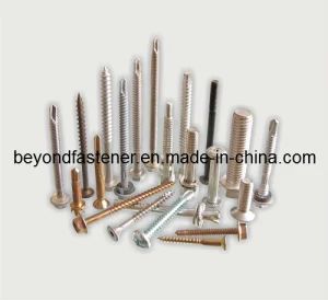 Self Tapping Screw Special Screw B Plastic Screw Grade 8.8 Origin China Type Available Model NO. M5*18 HS Code 73181500 Head Style Customized - Beyond Industry Groups Ltd. - China