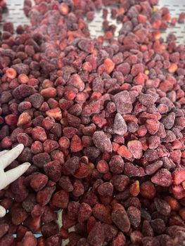 Premium Frozen Egyptian Strawberries (several varieties) from ALSAAD Premium Frozen Egyptian Strawberries (several varieties) - ALSAAD - Egypt