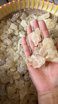 Gum Copal PWS – product photo, Snack & Confectionary products found from trusted suppliers, wholesalers, manufacturers & exporters Listing