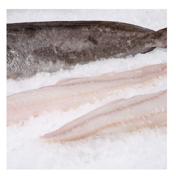 Good quality cheap price Frozen Frozen Hake Fish HGT / Whole Fish -  CALIPSO POLSKA SP Z OO  - Poland