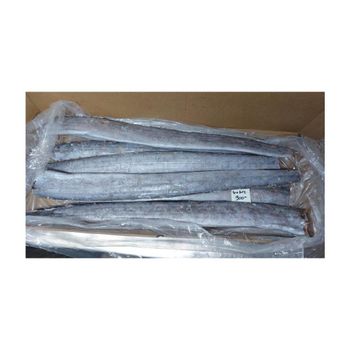Cheap Price Frozen Whole Ribbon Fish Bulk Supply Content Fish Features Lactose-Free - BMU TRADING GMBH - Germany