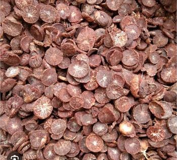 Slice Premium Arecanut(1rs Coin Size) - prajan arecanut - India
