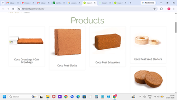 COCONUT PEAT - MS TRADERS - Global