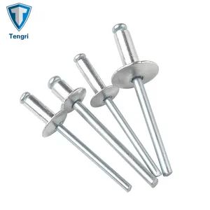 Aluminum Mandrel Steel Body Large Flange Head Blind Rivet Origin China Trademark Tengri Sample Available Model NO. GB, - SHANGHAI TENGRI METAL PRODUCTS CO., LTD. - China