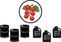 cranberry juice concentrate 50 brix - LOOK FOOD RAW MATERIALS - Poland