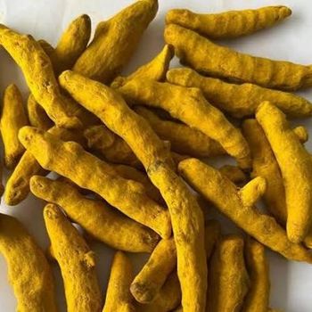 Premium Andhra Pradesh Dry Turmeric / Turmeric Powder - INDIEXPOGLOBAL PRIVATE LIMITED - India