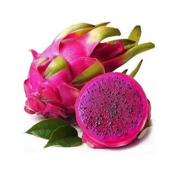 Fresh dragon fruit available in bulk for export to tropical fruit markets - Mundus Exports Pty Ltd - South Africa