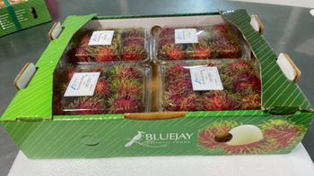 Rambutan Grade A Color Hairy Exterior Place of Origin Thailand Texture Sweet, Juicy Flesh Packaging Card Tray 4 x 500g Per Tray - Blue Jay Oriental Foods Thailand Ltd - United Kingdom