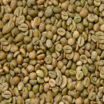 100% Natural Organic Robusta Green Coffee Bean Arabica Green Coffee Beans  - AL JABLI TRADING COMPANY LIMITED - Tanzania