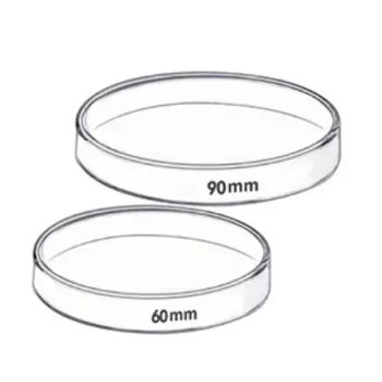 Factory Direct Selling Price 35mm 60mm 70mm 90mm 100mm 120mm 150mm Glass Petri Dish - JINAN FLAME GLASSWARE COMPANY LIMITED - China