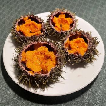 Natural Wild Caught Sea Urchin Roe Sushi Grade Fresh and Frozen Bulk Supply Global Export Seafood Company - PILOTEXPORT IMPORT AND EXPORT LTD - South Africa