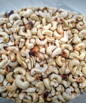Cashew Nut