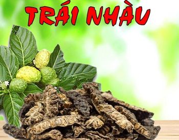 Cheap dried noni fruit Material Noni Form Viet Nam Address VIET NAM Drying Process Noni Color Bromn - black Quality Premium - O'S SAKE TRADING PRODUCTION COMPANY LIMITED - Vietnam